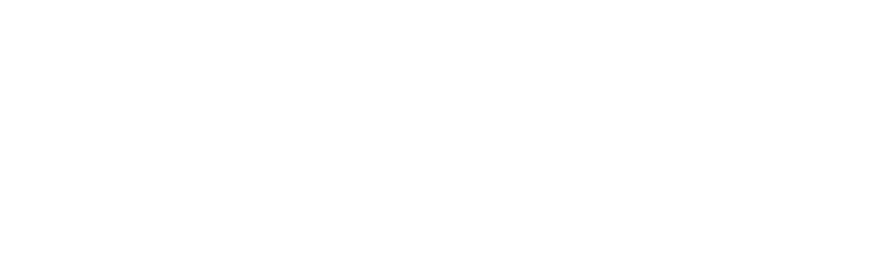 Vetacci Store